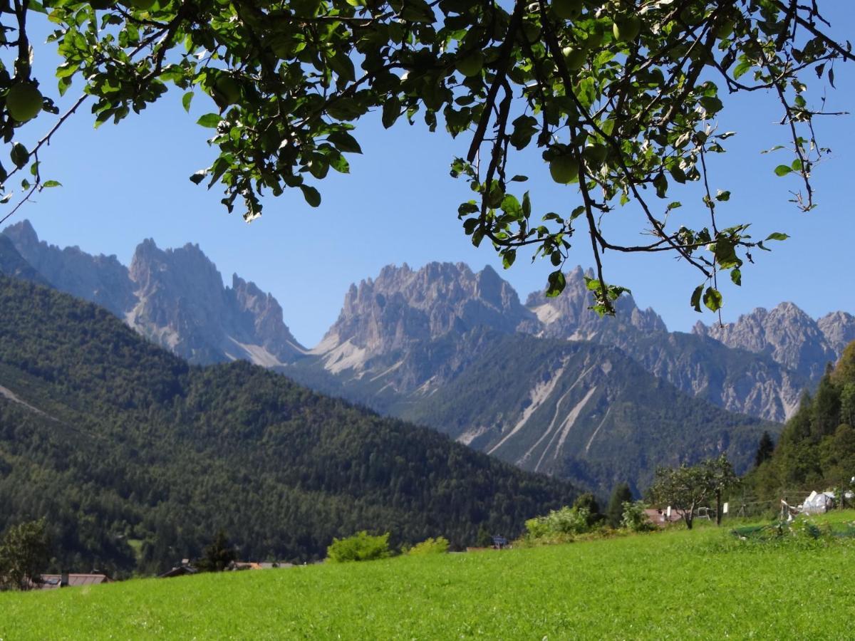 Residence Dolomiti Форні-ді-Сопра Екстер'єр фото